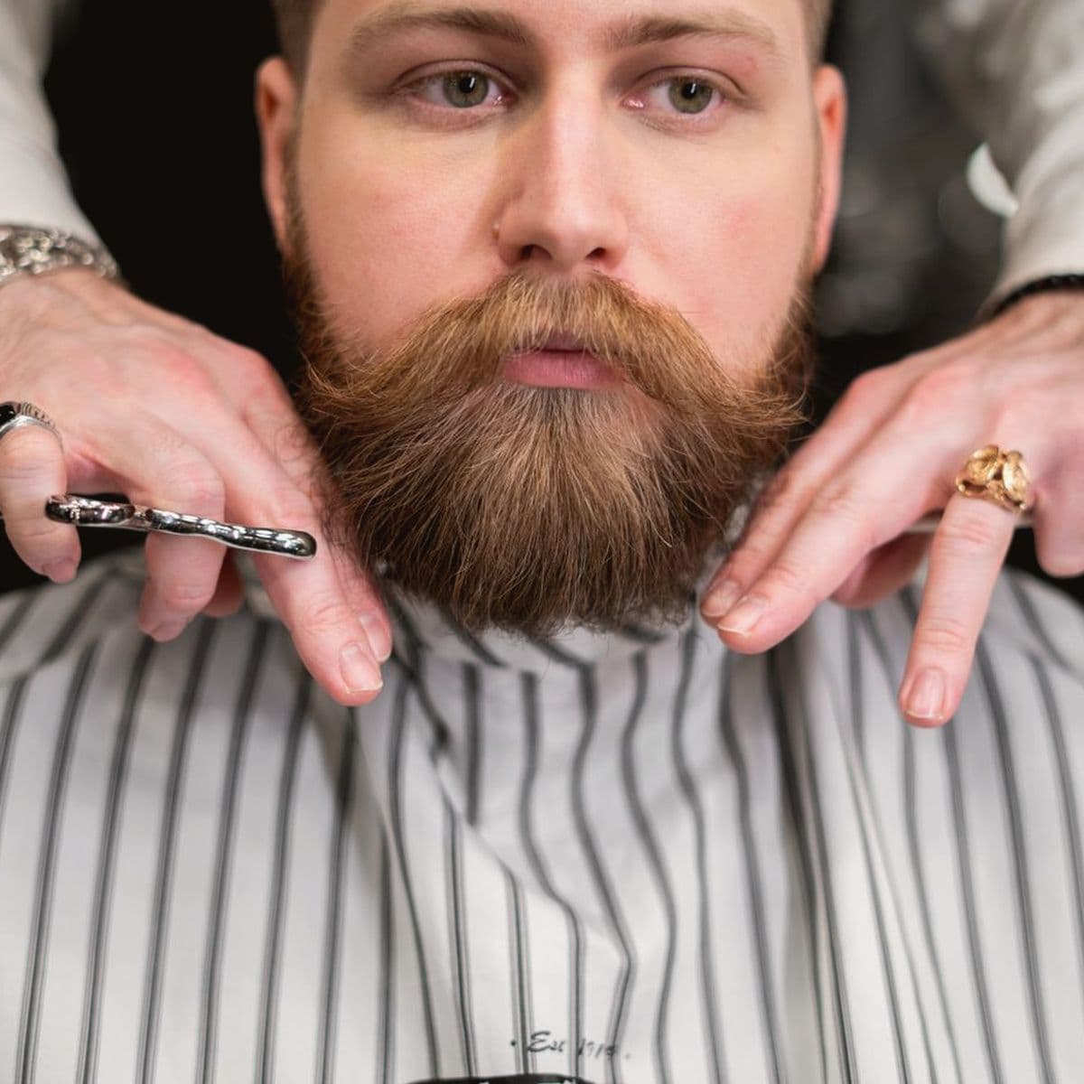 Catalog placeholder — beard grooming